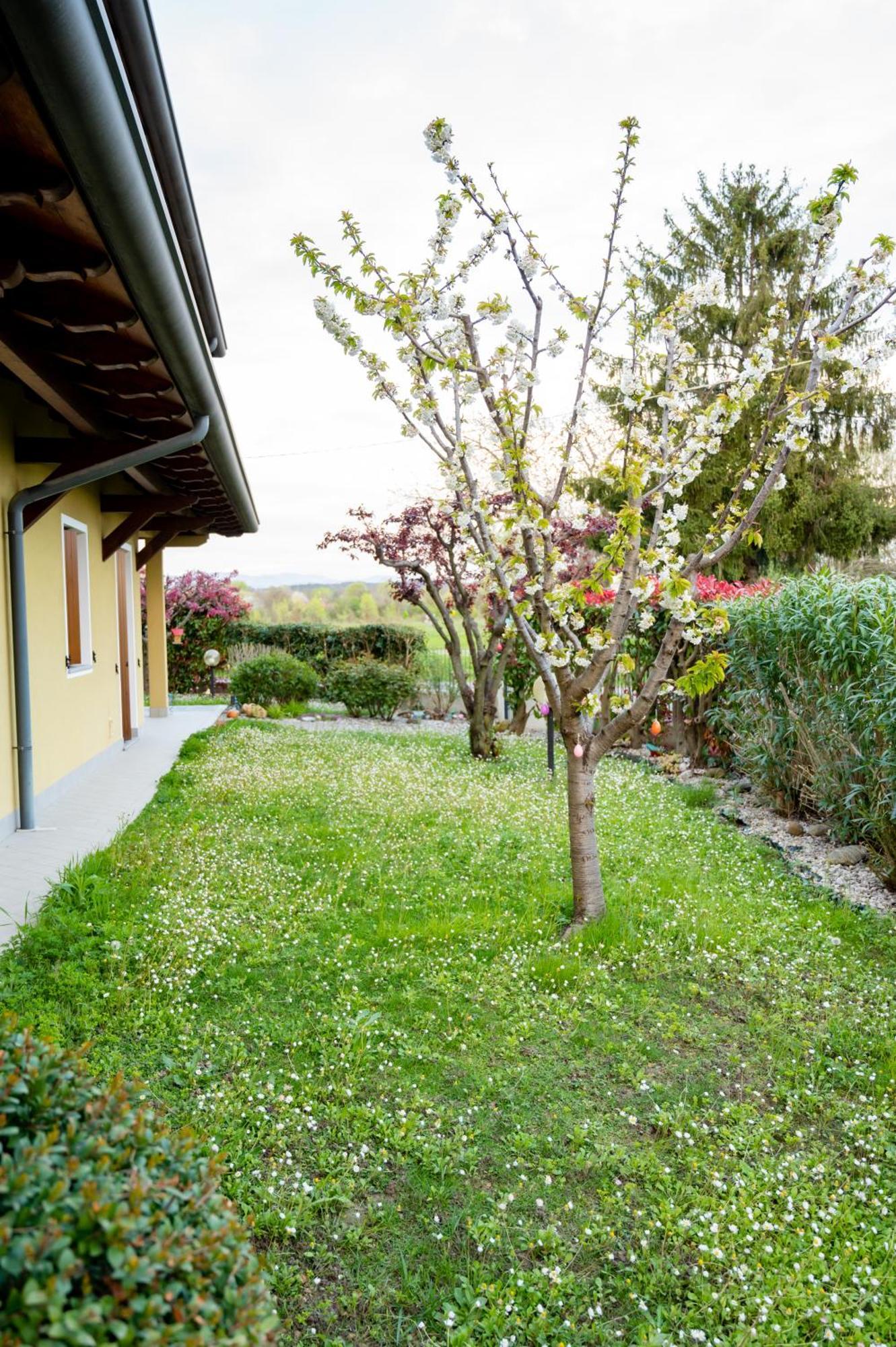 Residence Stradella Verde Staranzano Exteriér fotografie